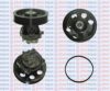 AQUAPLUS 85-7400 Water Pump